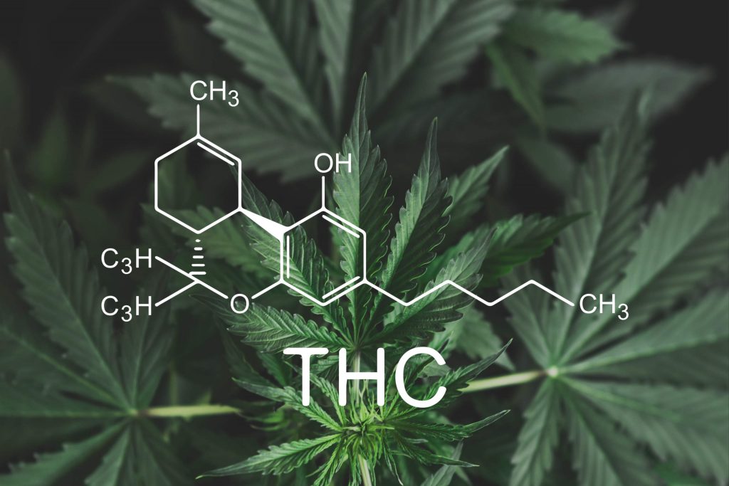 Difference Between THC and HHC