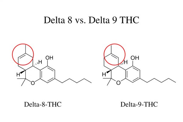 What Is the Difference Between Delta 8 and Delta 9?