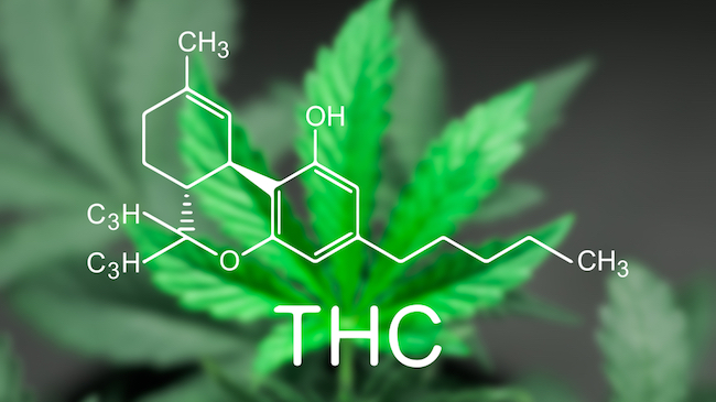 THC Buying Guide